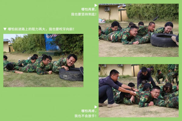 牛宝体育官网新能源_厚积薄发_赢胜2021(图8)