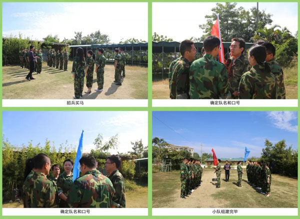 牛宝体育官网新能源_厚积薄发_赢胜2021(图4)